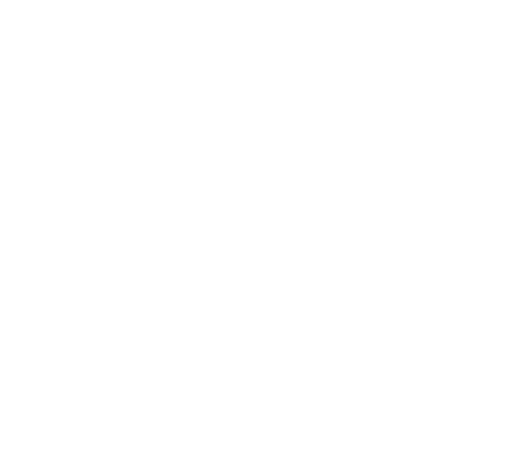 Magnum Education